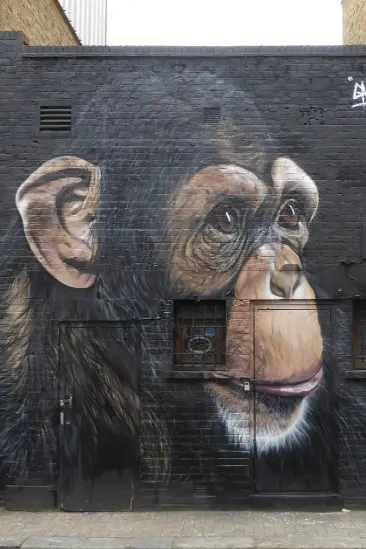 Gnasher, Stucley Place, Camden Town